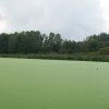 100_4118jpg_M