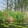 100_1042_M